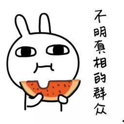 娱乐吃瓜酱怼亲戚,揭秘家庭欢乐背后的真相